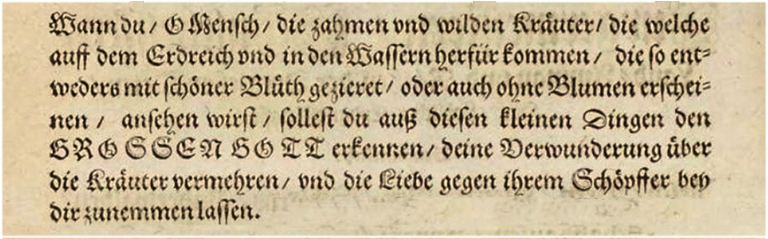 5200 - Kräuterbuch von 1768 - Textabschnitt 1